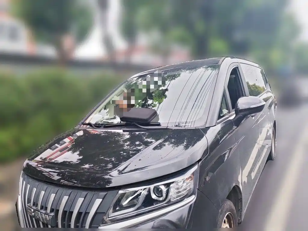 BAW Ruisheng Ace M7 — миниатюра 2