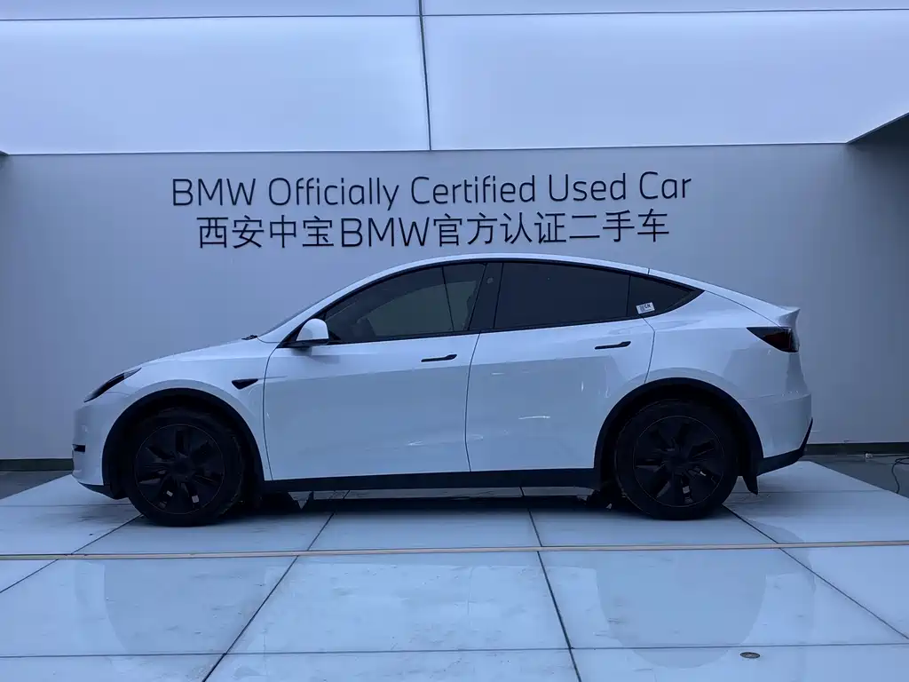 Tesla Model Y — миниатюра 3