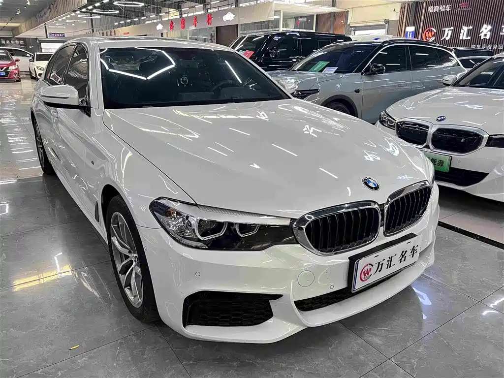 BMW 5 Series — миниатюра 3
