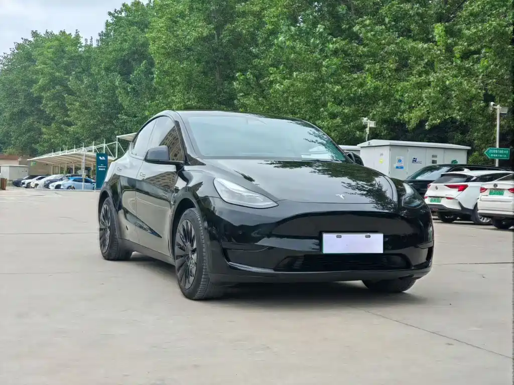 Tesla Model Y — миниатюра 3