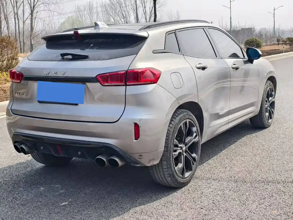 WEI PAI WEI BRAND VV7