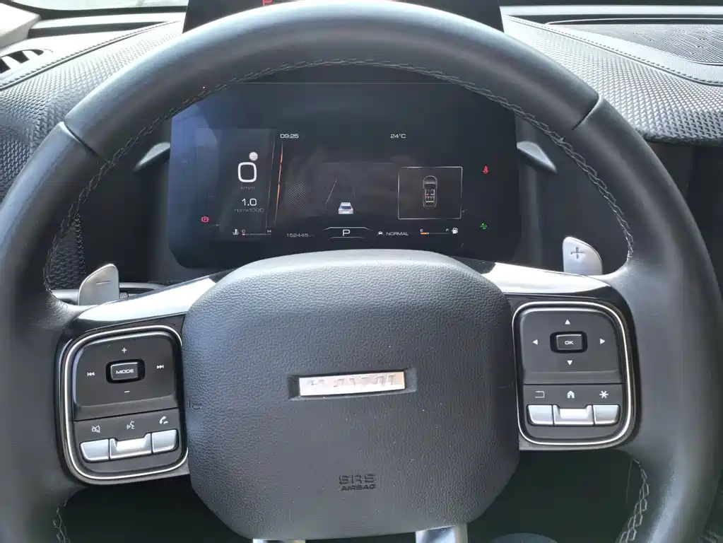 Haval Big Dog — миниатюра 4