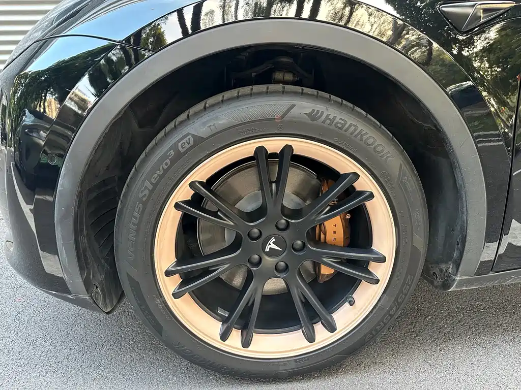 Tesla Model Y — миниатюра 5