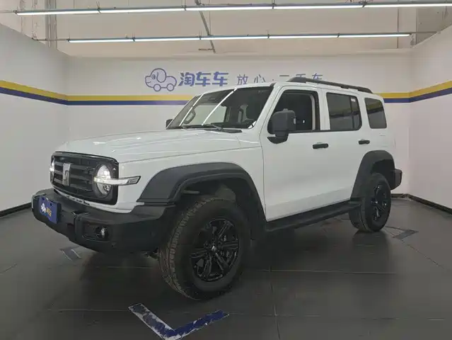 2025 TANK 300