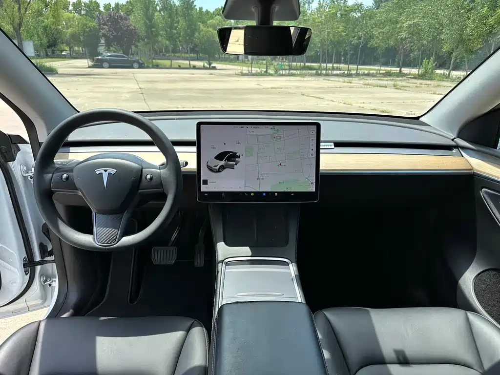 Tesla Model Y — миниатюра 9