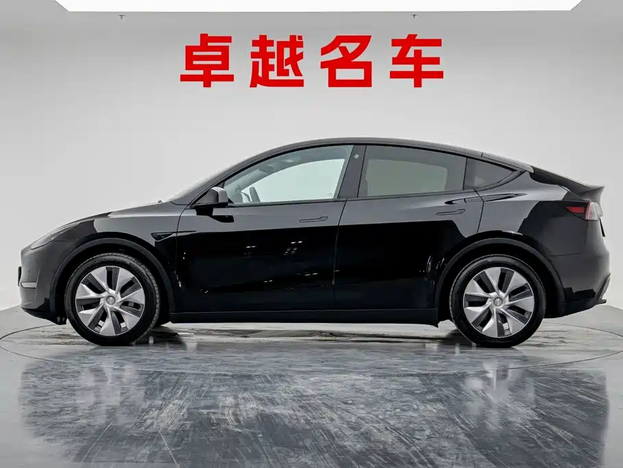 Tesla Model Y — миниатюра 3