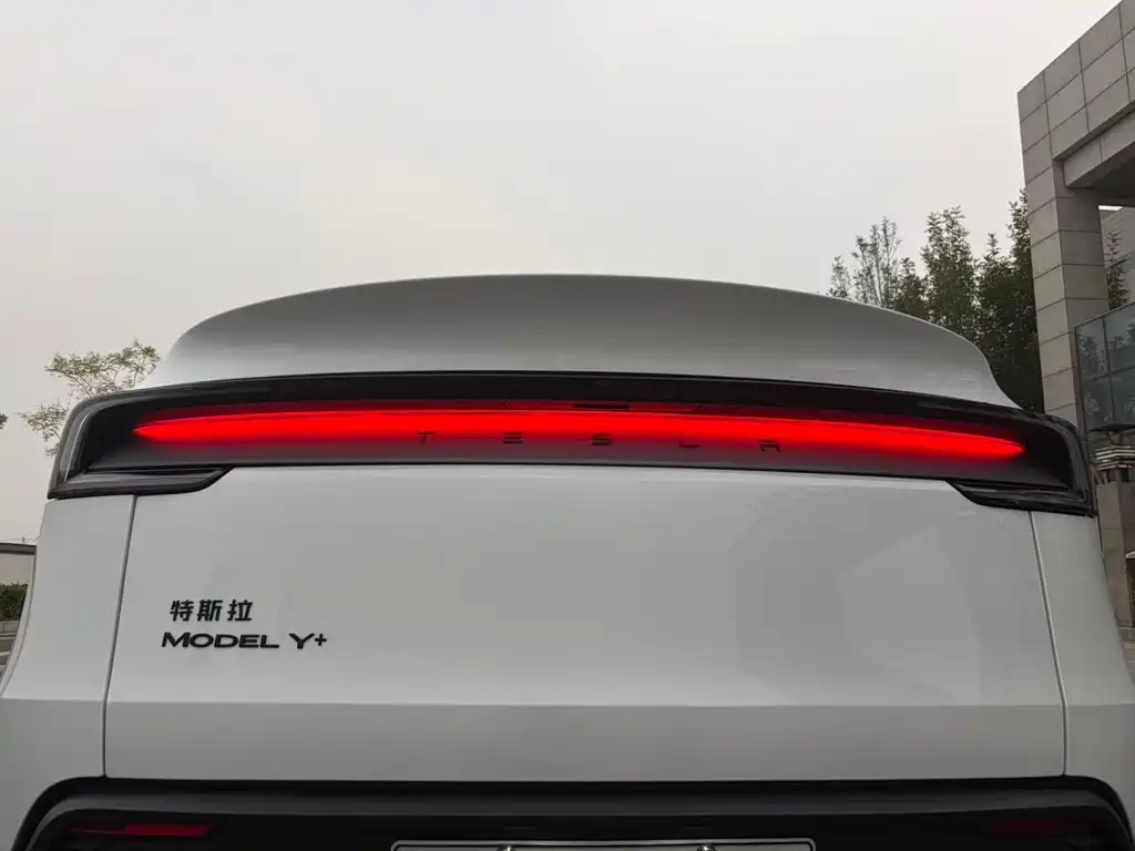 Tesla Model Y — миниатюра 20