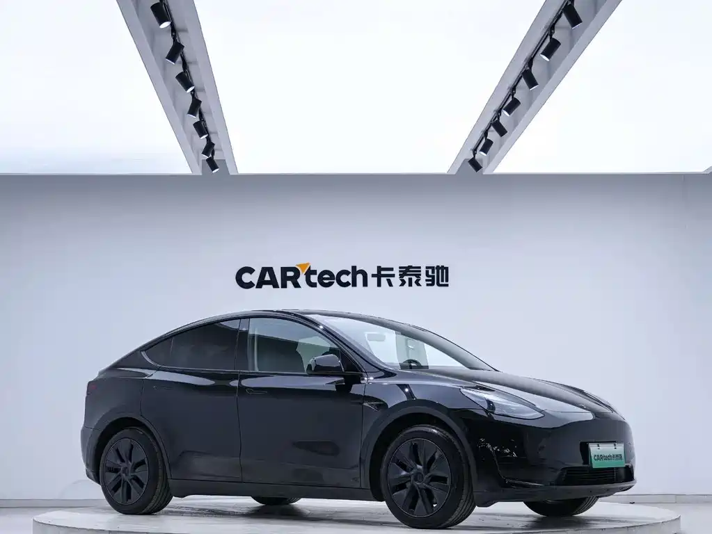 Tesla Model Y — миниатюра 3