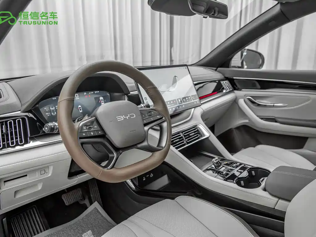 BYD PLUS New Energy — миниатюра 11