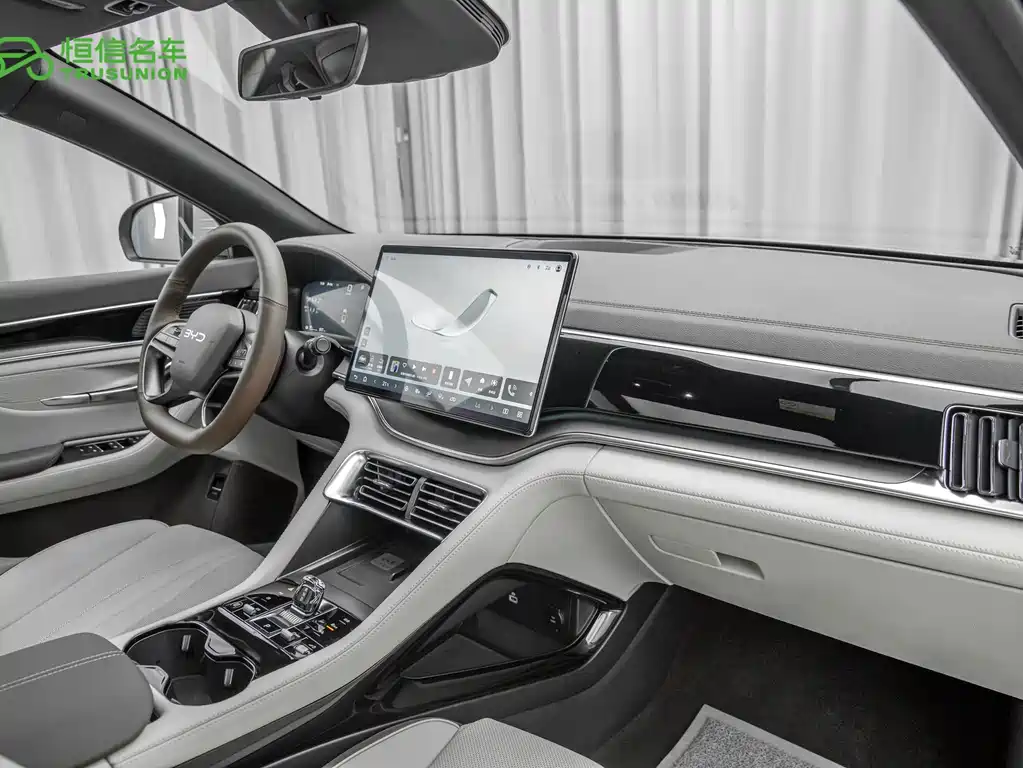 BYD PLUS New Energy — миниатюра 13