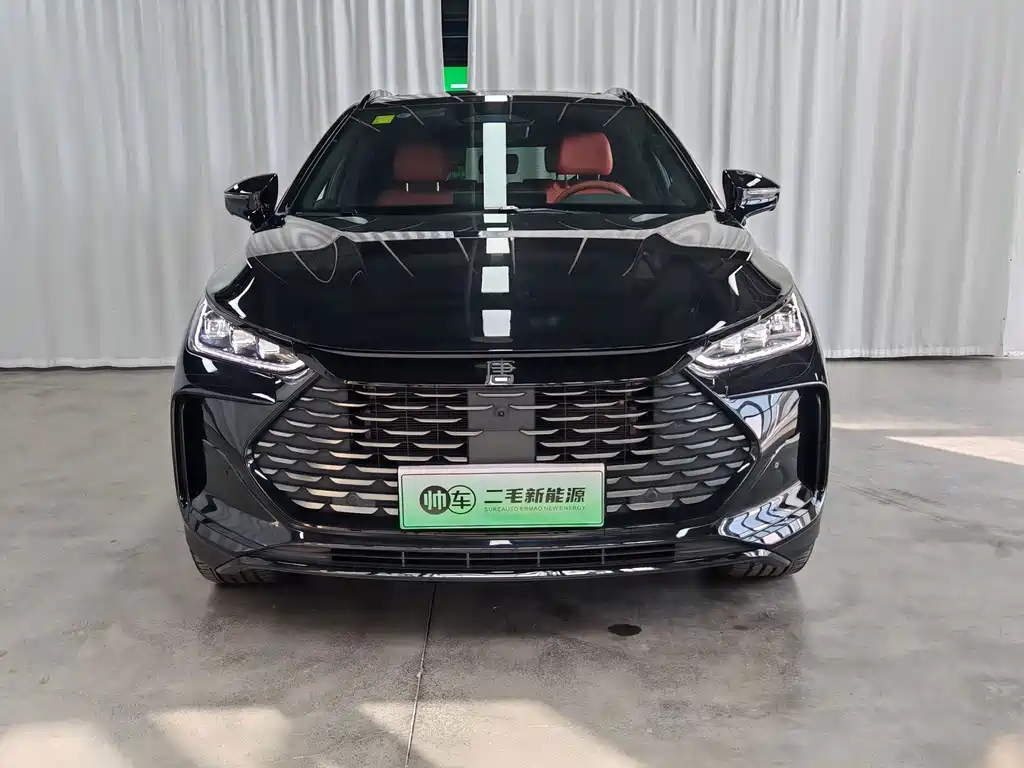BYD Tang New Energy — миниатюра 2