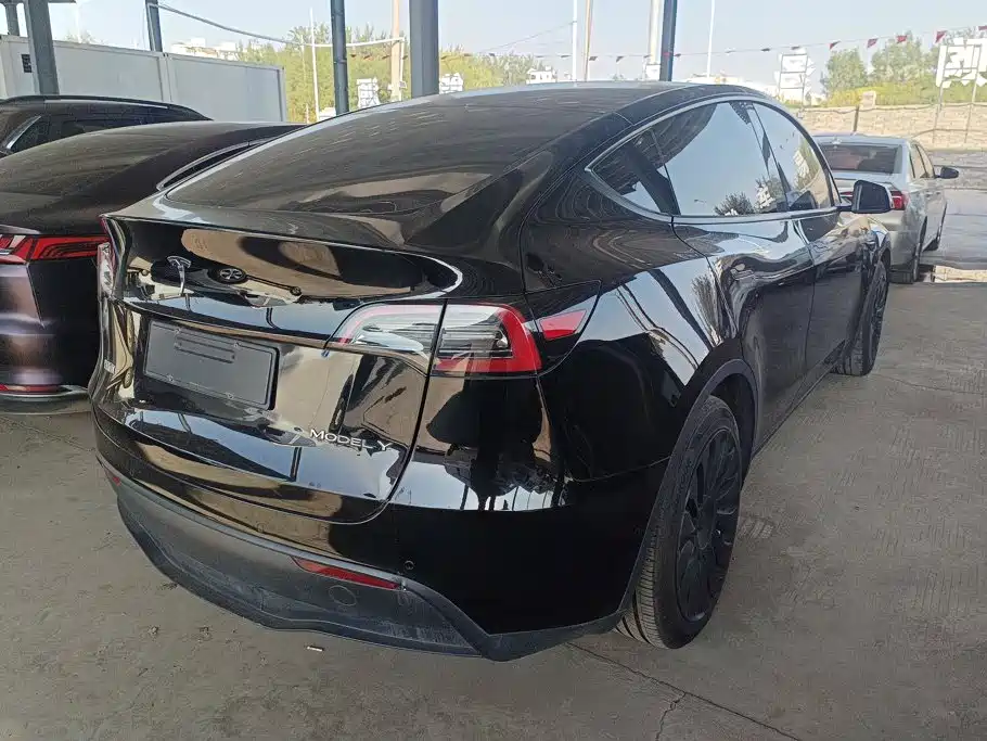Tesla Model Y — миниатюра 3