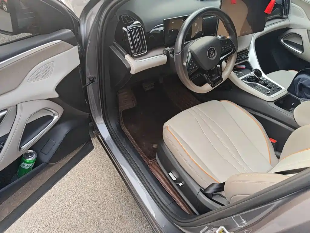 BYD Pro New Energy — миниатюра 12