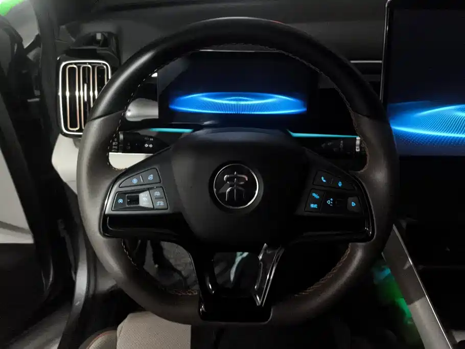BYD Pro New Energy — миниатюра 15
