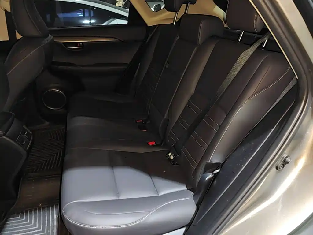 Lexus NX — миниатюра 13