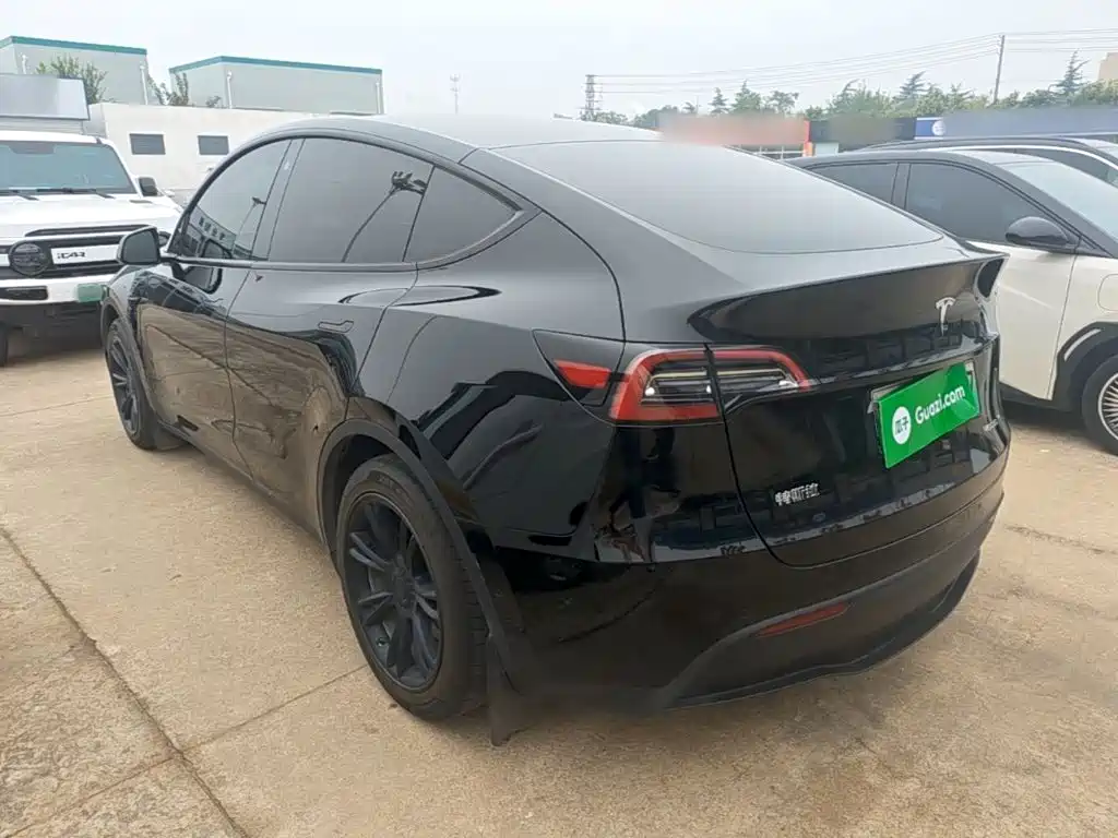 Tesla Model Y — миниатюра 5