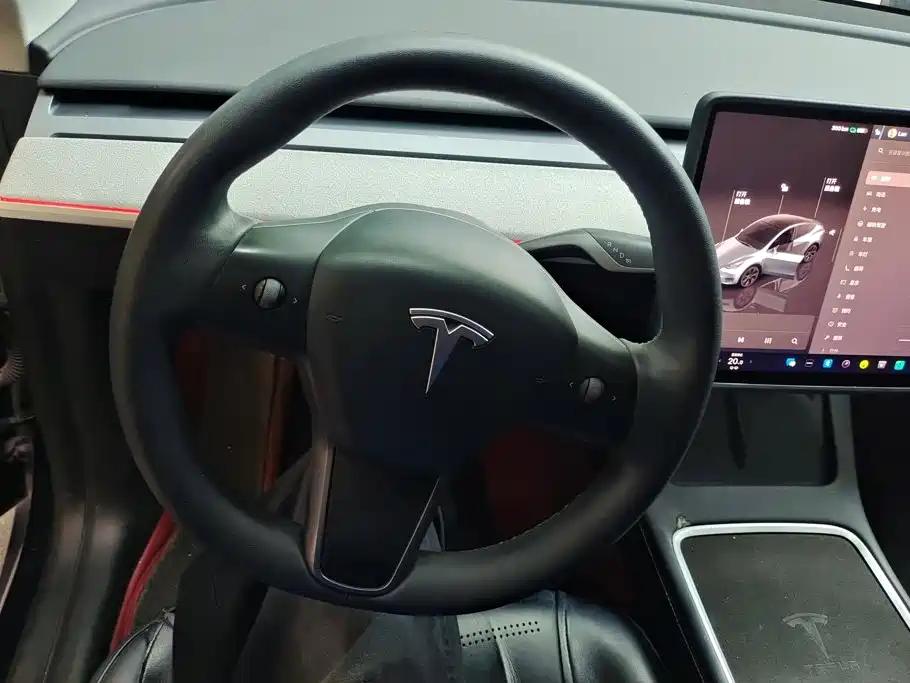 Tesla Model Y — миниатюра 15