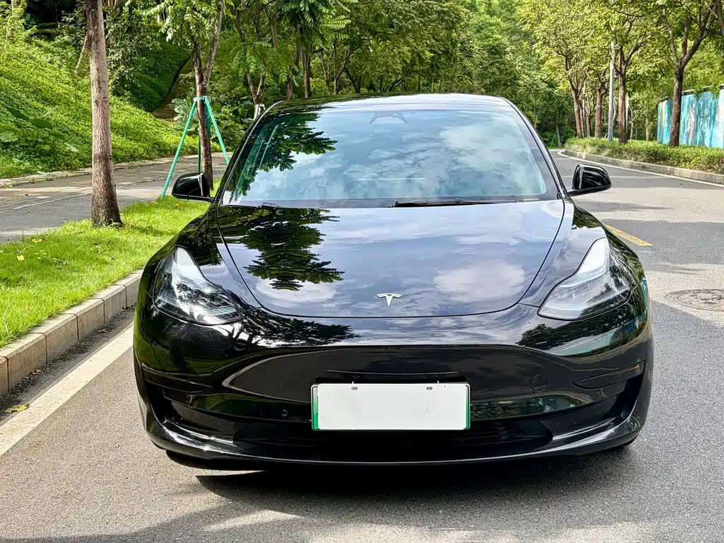 Tesla Model 3 — миниатюра 2