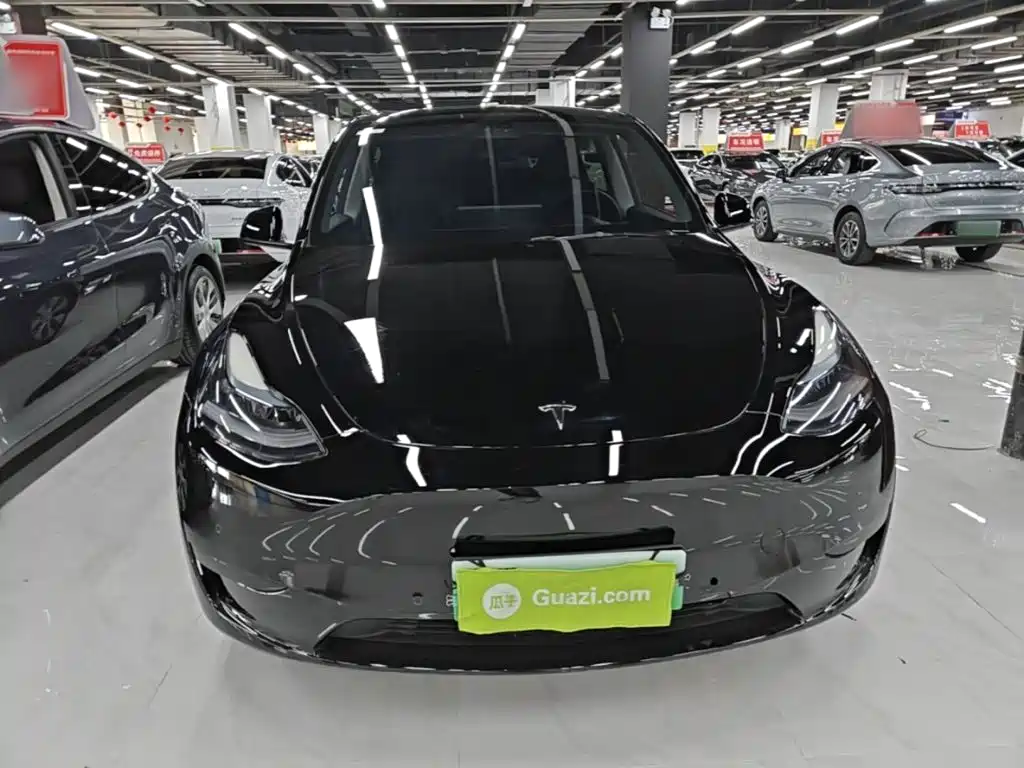 Tesla Model Y — миниатюра 3