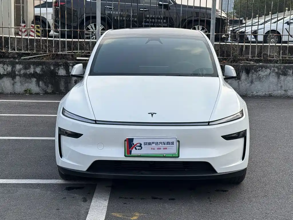 Tesla Model Y L — миниатюра 3