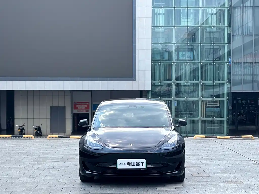 Tesla Model 3 — миниатюра 2