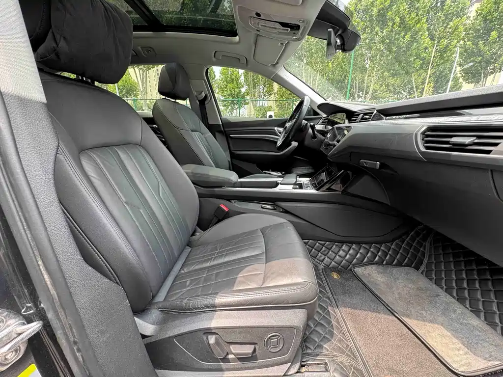 Audi e-tron (Import) — миниатюра 9