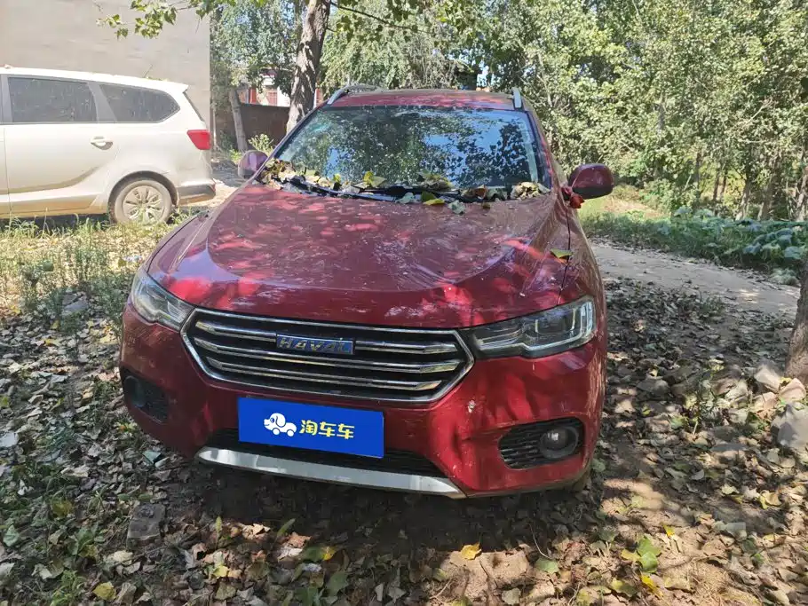 Haval H2s — миниатюра 2