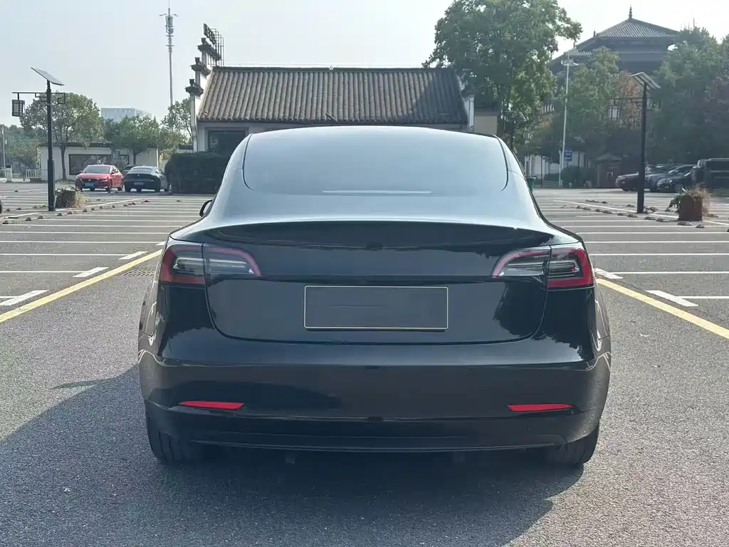 Tesla Model 3 — миниатюра 8