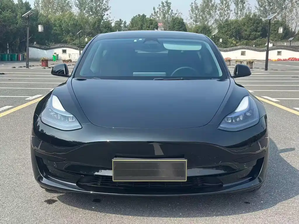 Tesla Model 3 — миниатюра 2