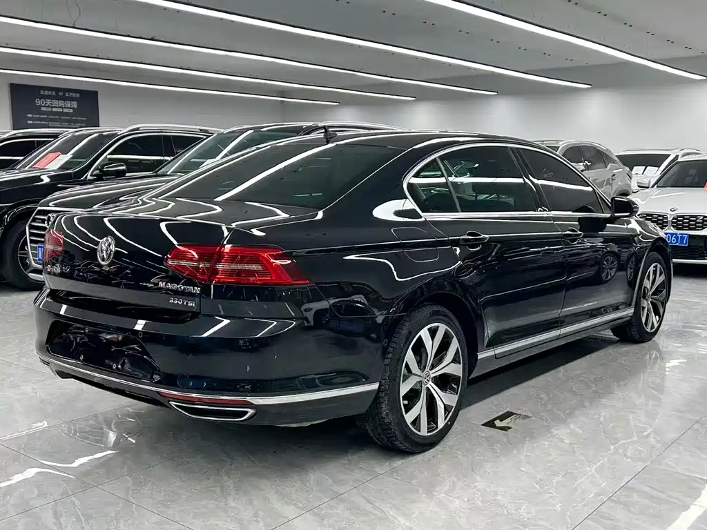 Volkswagen Magotan 2019 330TSI DSG Luxury V