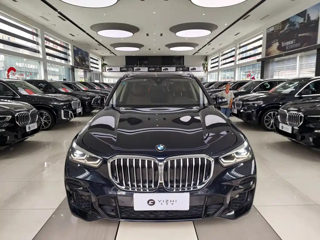 BMW X5 (Import) — миниатюра 2