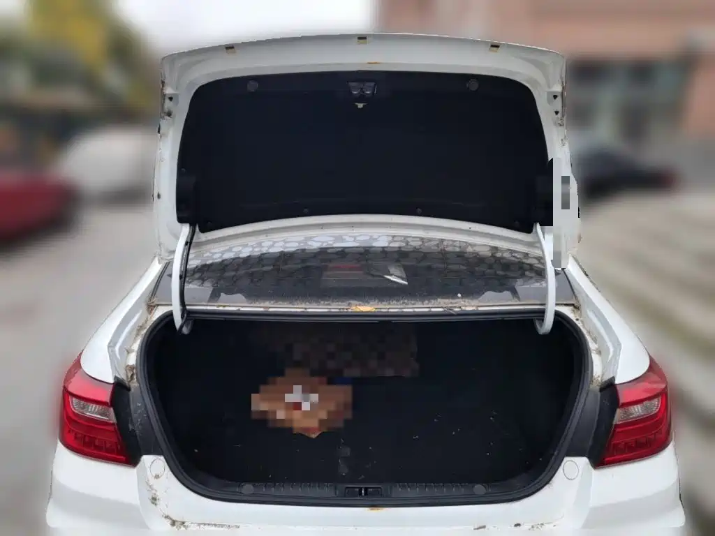 Geely Vision — миниатюра 20