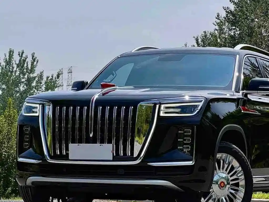 Hongqi Hongqi Golden Sunflower Guoyao — миниатюра 5