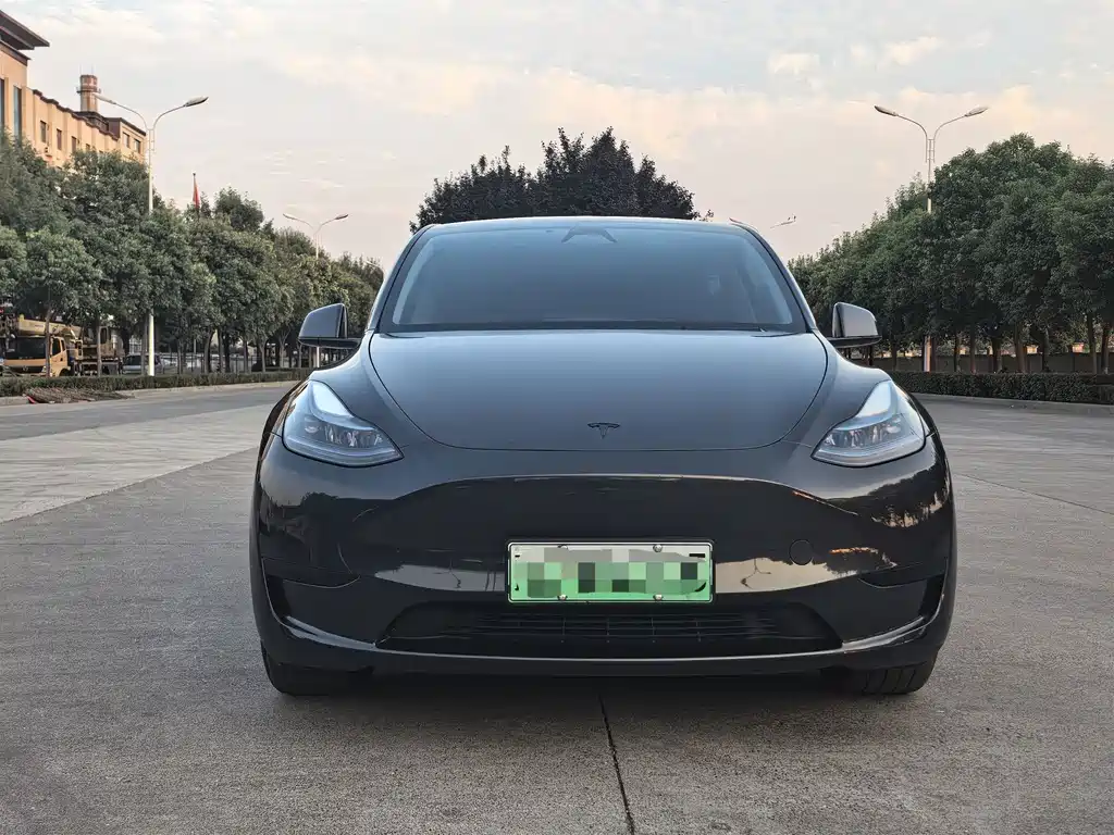 Tesla Model Y — миниатюра 2