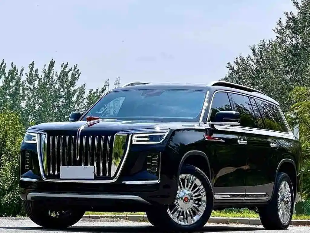 Hongqi Hongqi Golden Sunflower Guoyao — миниатюра 13