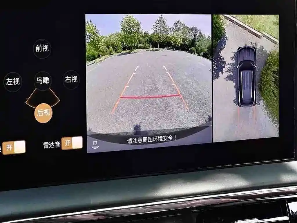 Hongqi Hongqi Golden Sunflower Guoyao — миниатюра 25