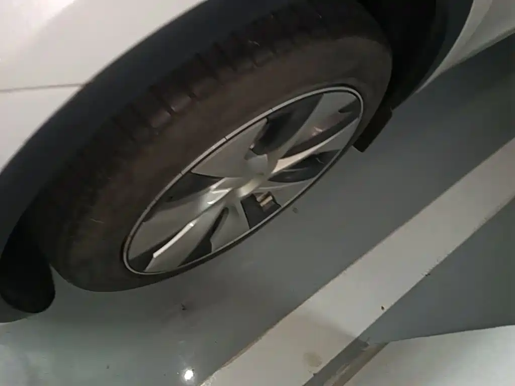 Tesla Model Y — миниатюра 23