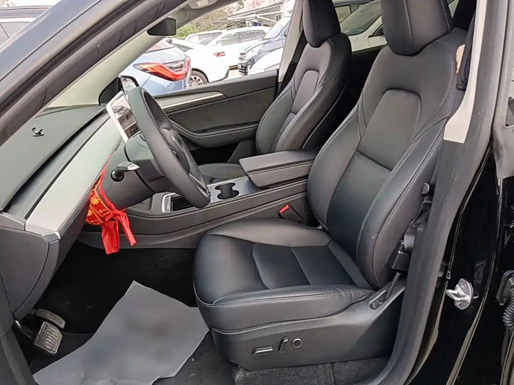 Tesla Model Y — миниатюра 15