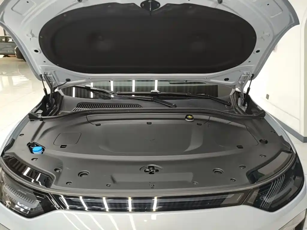Leapmotor Leapmotor C11 — миниатюра 20