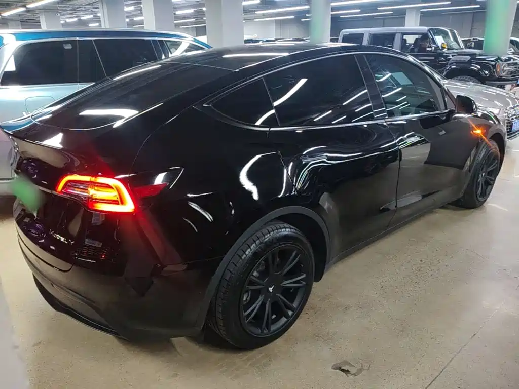 Tesla Model Y — миниатюра 7