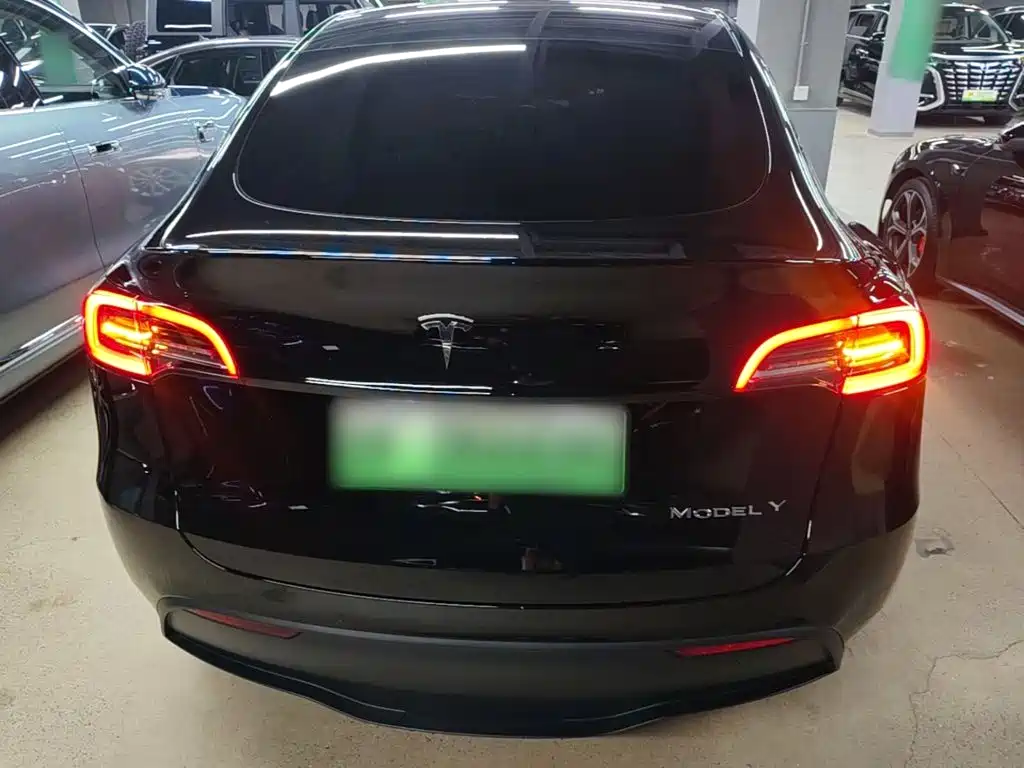 Tesla Model Y — миниатюра 6