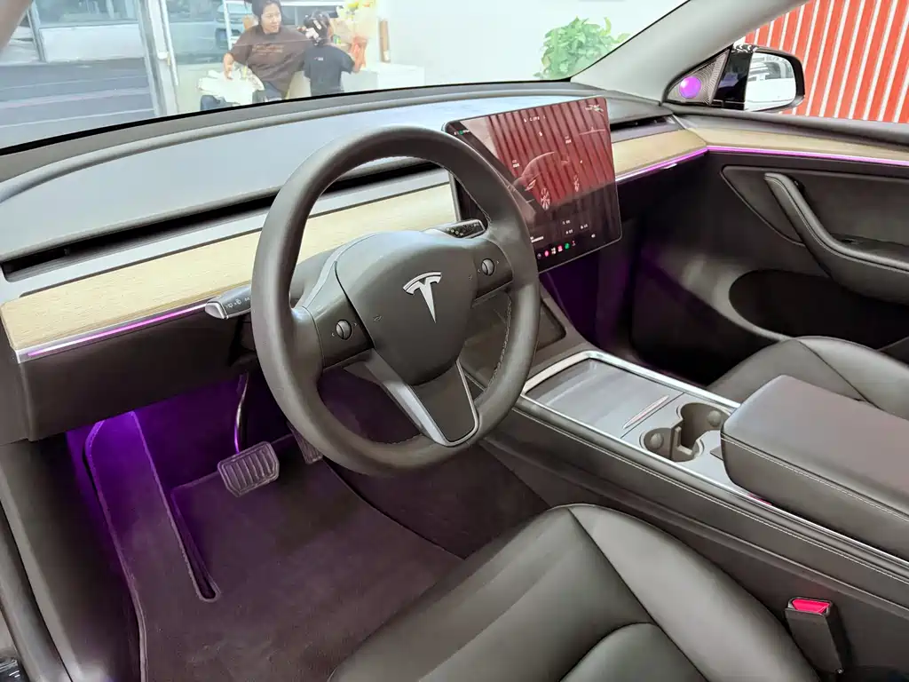 Tesla Model Y — миниатюра 15
