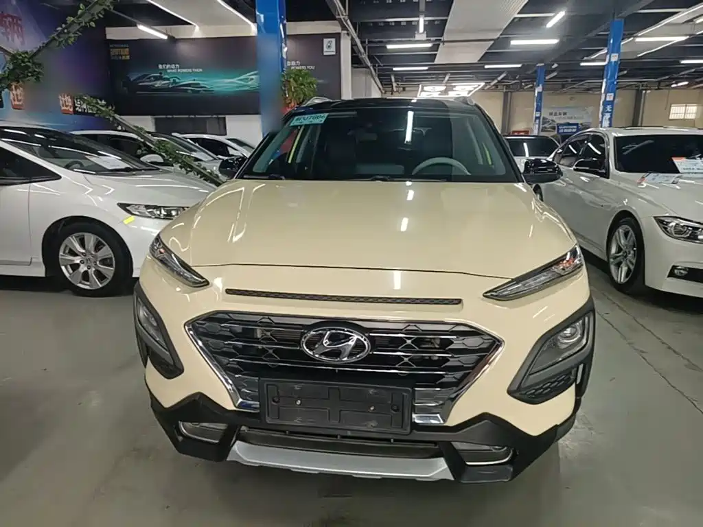 Hyundai Encino — миниатюра 3
