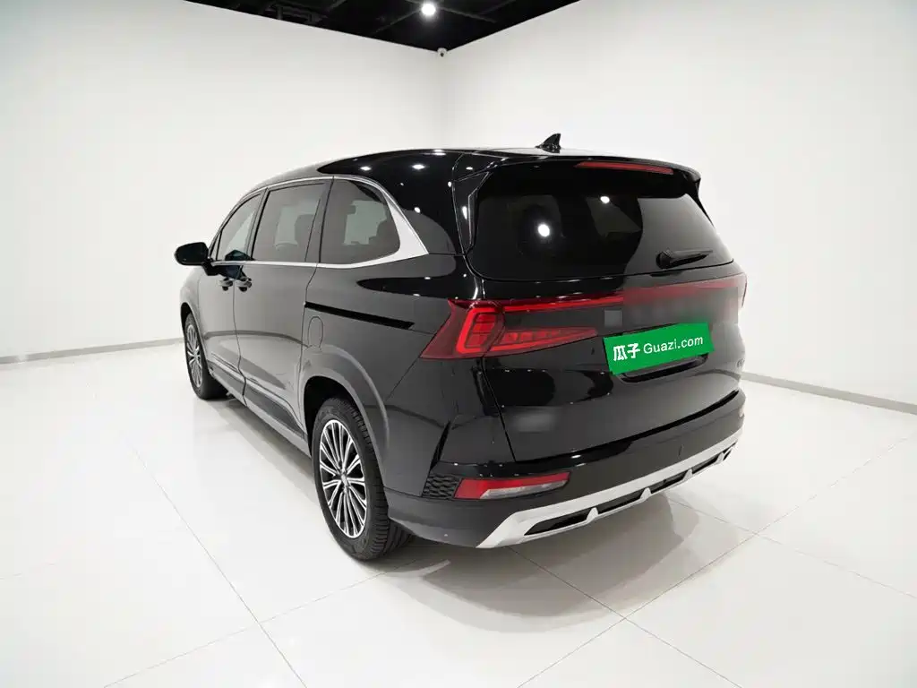 Hyundai Custo — миниатюра 4