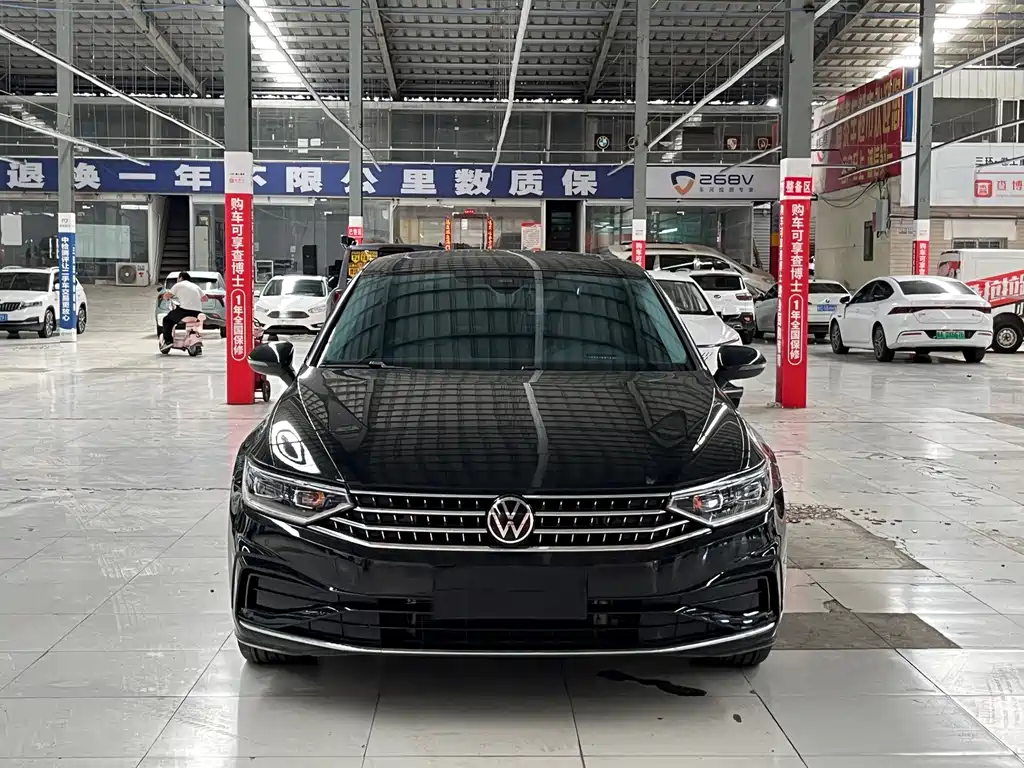 Volkswagen Magotan — миниатюра 2
