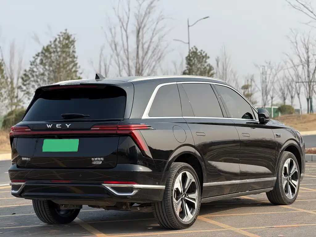 WEI PAI WEI BRAND BLUE MOUNTAIN