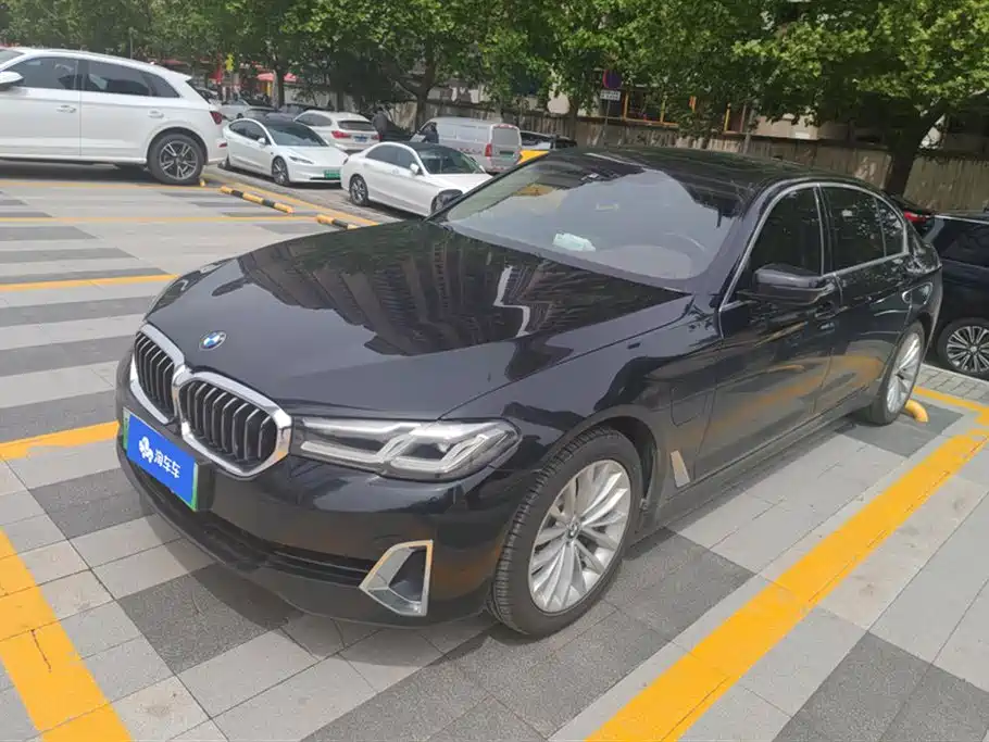 BMW 5 Series New Energy 2021