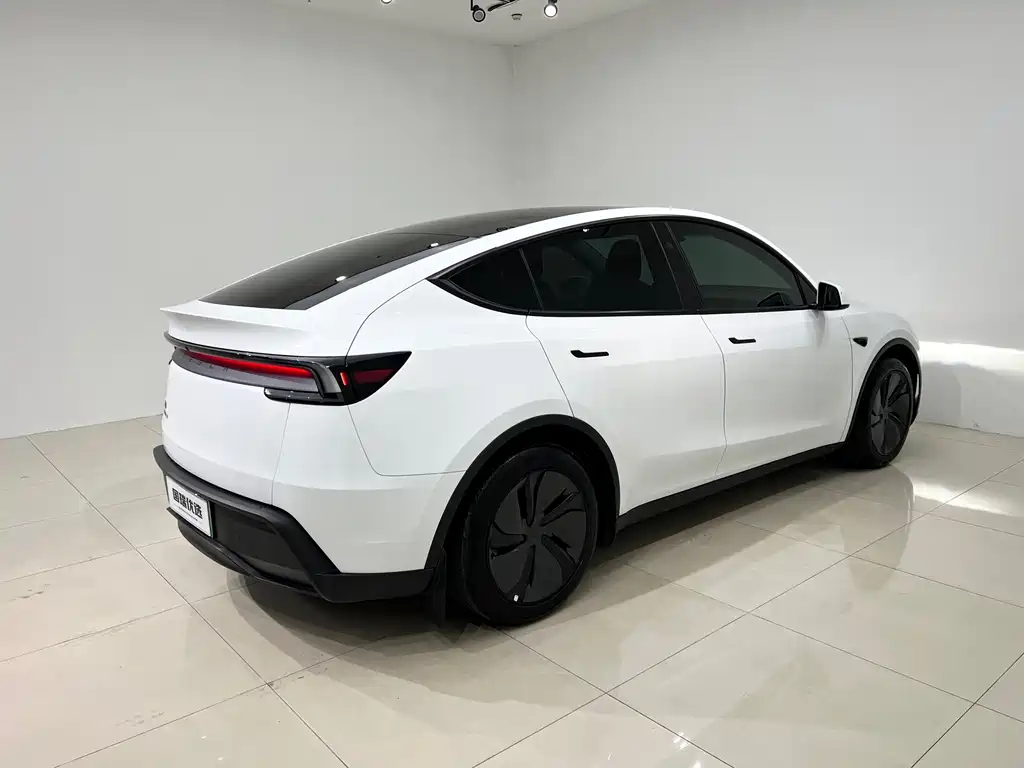 Tesla Model Y — миниатюра 6