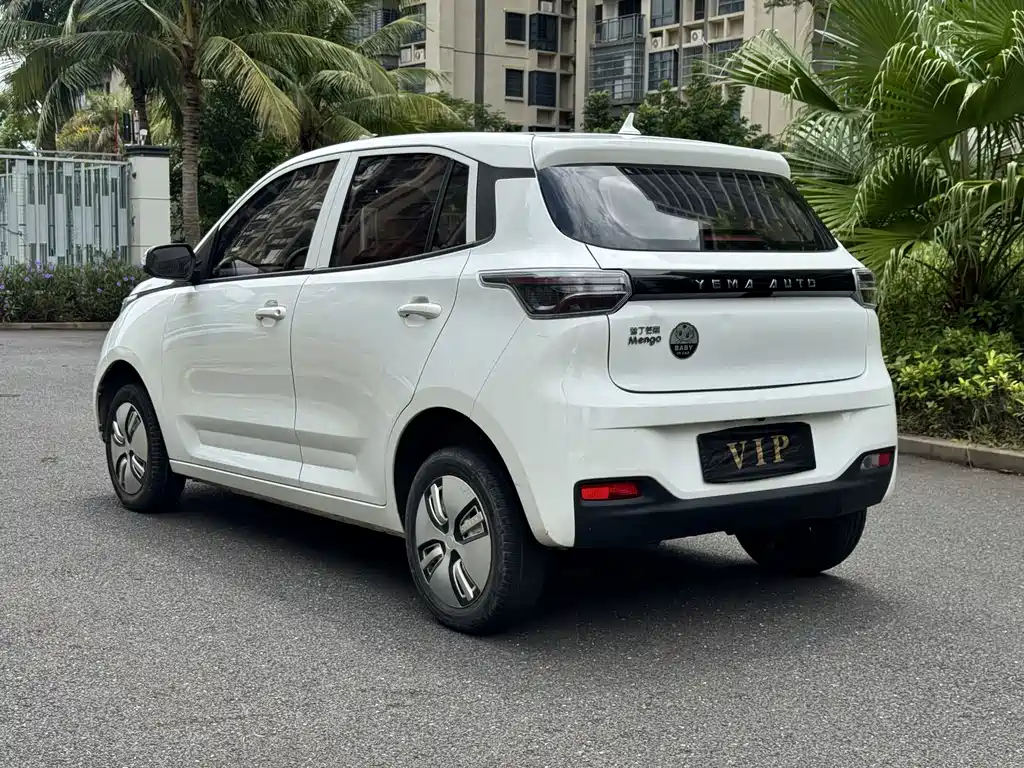 Lei Ding Leiding Mango — миниатюра 7