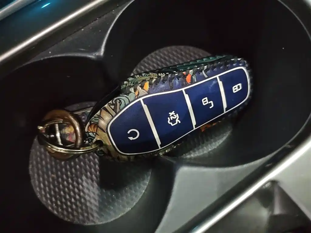 BYD Dolphin 2021 401km